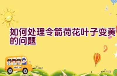 如何处理令箭荷花叶子变黄的问题