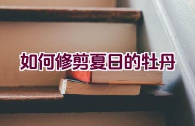 如何修剪夏日的牡丹