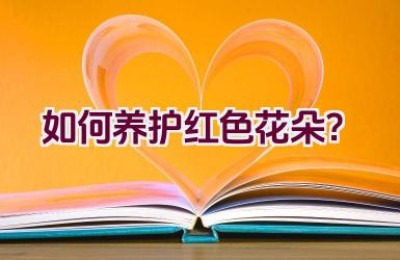 如何养护红色花朵？