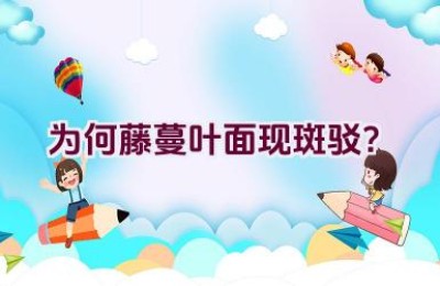 为何藤蔓叶面现斑驳？