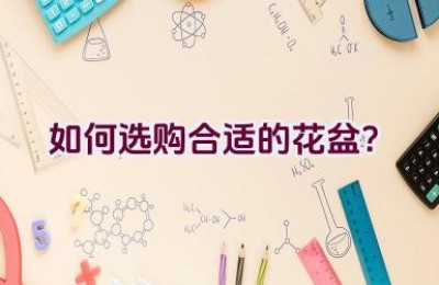 如何选购合适的花盆？