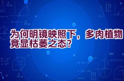 为何明镜映照下，多肉植物竟显枯萎之态？