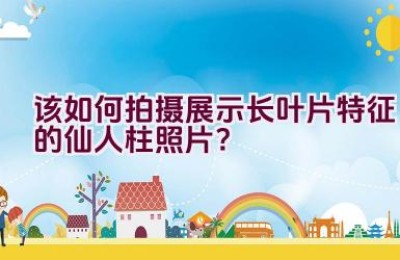 该如何拍摄展示长叶片特征的仙人柱照片？