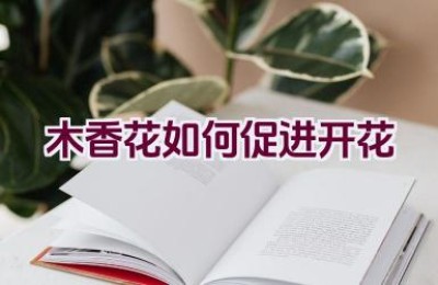 木香花如何促进开花