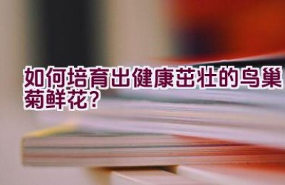 如何培育出健康茁壮的鸟巢菊鲜花？