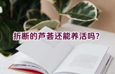 折断的芦荟还能养活吗？