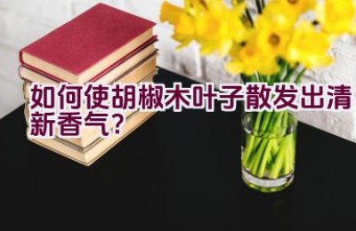 如何使胡椒木叶子散发出清新香气？