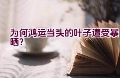 为何鸿运当头的叶子遭受暴晒？