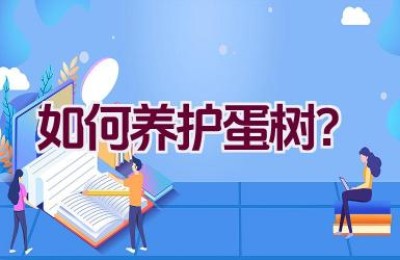 如何养护蛋树？