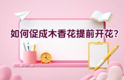 如何促成木香花提前开花？