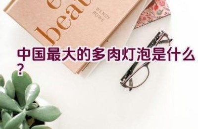 中国最大的多肉灯泡是什么？