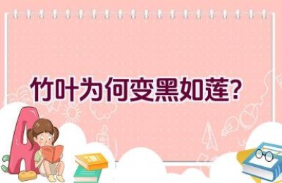 竹叶为何变黑如莲？