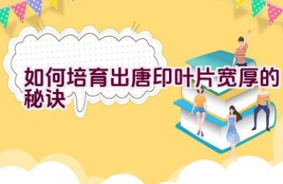 如何培育出唐印叶片宽厚的秘诀