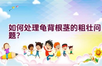 如何处理龟背根茎的粗壮问题？