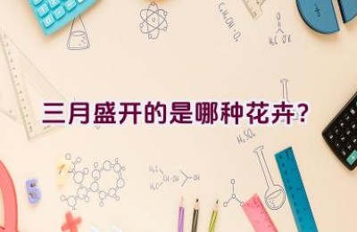 三月盛开的是哪种花卉？