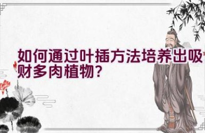 如何通过叶插方法培养出吸财多肉植物？