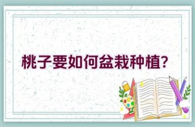 桃子要如何盆栽种植？