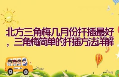 北方三角梅几月份扦插最好，三角梅简单的扦插方法详解