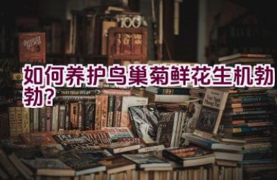 如何养护鸟巢菊鲜花生机勃勃？