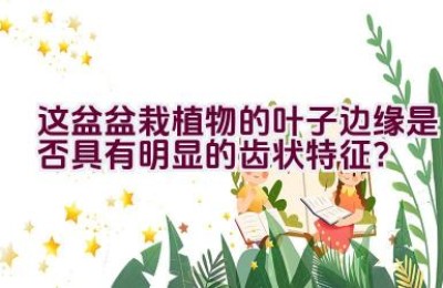 这盆盆栽植物的叶子边缘是否具有明显的齿状特征？