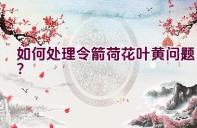 如何处理令箭荷花叶黄问题？