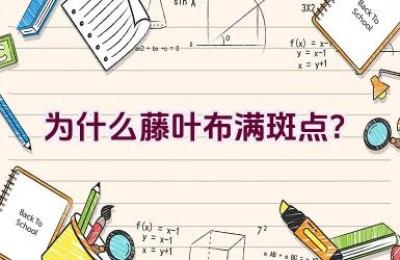 为什么藤叶布满斑点？