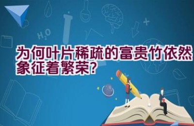 为何叶片稀疏的富贵竹依然象征着繁荣？