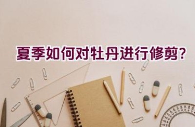 夏季如何对牡丹进行修剪？