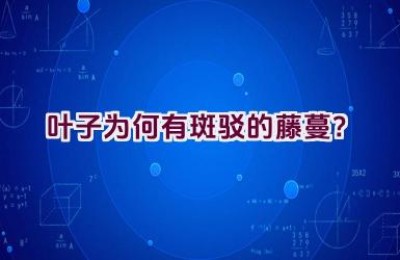 叶子为何有斑驳的藤蔓？