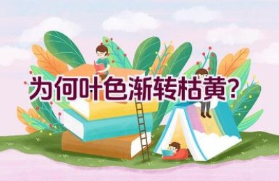 为何叶色渐转枯黄？