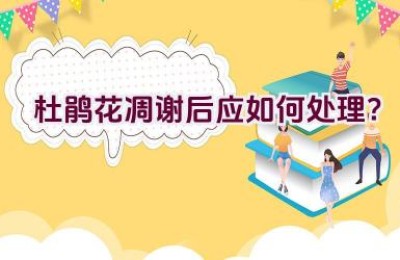 杜鹃花凋谢后应如何处理？