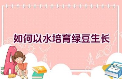 如何以水培育绿豆生长
