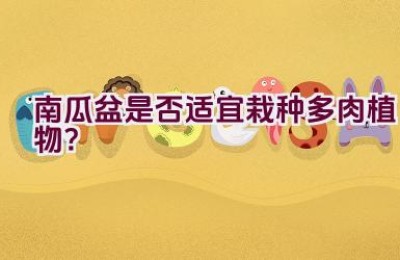 南瓜盆是否适宜栽种多肉植物？