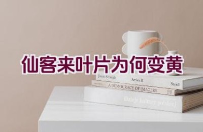仙客来叶片为何变黄