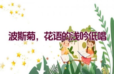 波斯菊，花语的浅吟低唱