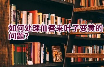 如何处理仙客来叶子变黄的问题？