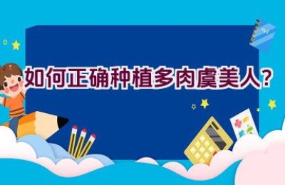 如何正确种植多肉虞美人？