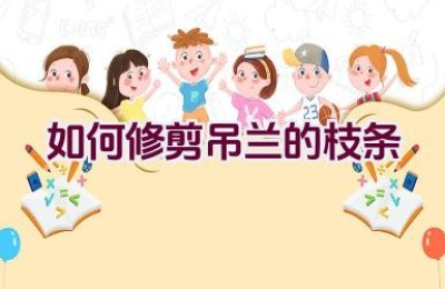 如何修剪吊兰的枝条