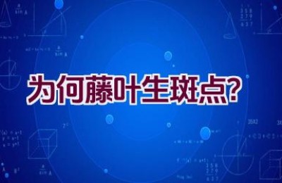 为何藤叶生斑点？