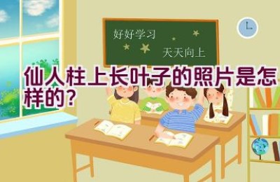 仙人柱上长叶子的照片是怎样的？