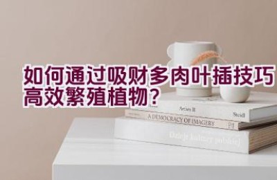 如何通过吸财多肉叶插技巧高效繁殖植物？