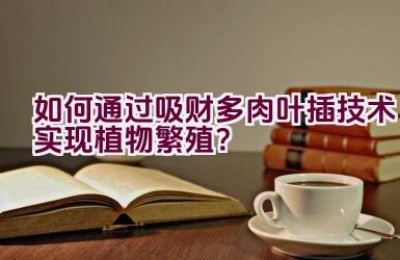 如何通过吸财多肉叶插技术实现植物繁殖？