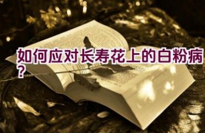 如何应对长寿花上的白粉病？
