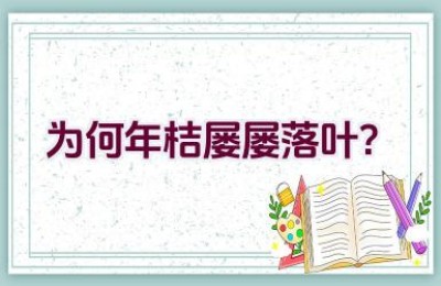为何年桔屡屡落叶？