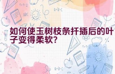 如何使玉树枝条扦插后的叶子变得柔软？