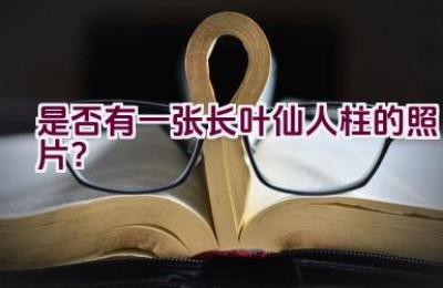 是否有一张长叶仙人柱的照片？