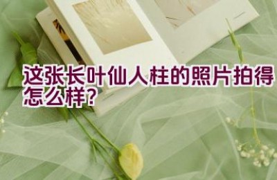 这张长叶仙人柱的照片拍得怎么样？