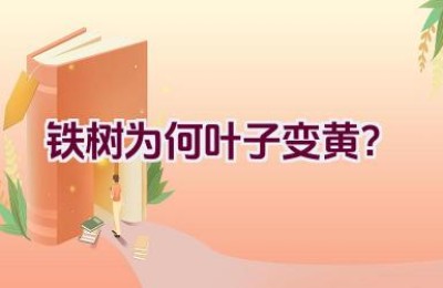 铁树为何叶子变黄？