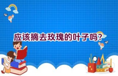 应该摘去玫瑰的叶子吗？