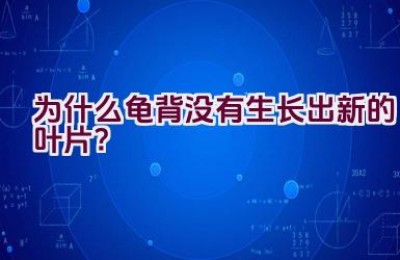 为什么龟背没有生长出新的叶片？